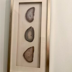 Framed Agate Slice Wall Art